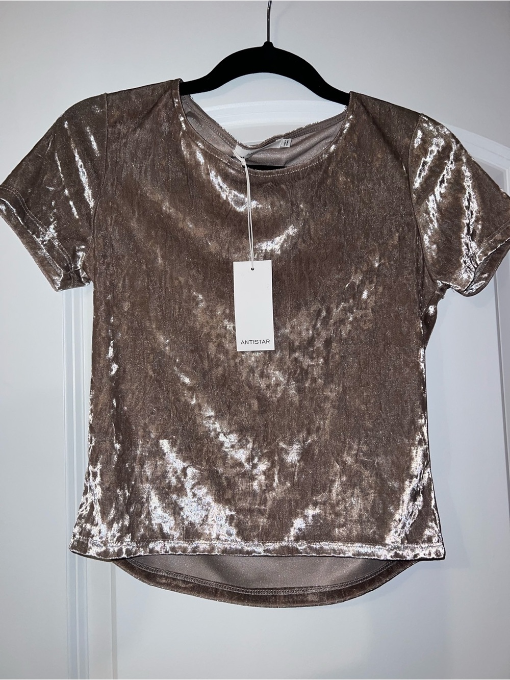 Women's Shimmer Velvet Short Sleeve Top - Pale Pink